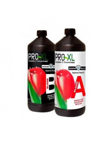 Pro-XL Bloom A+B