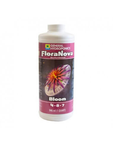 Flora Nova Bloom