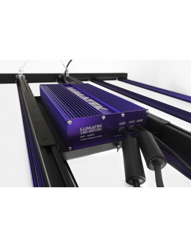 led zeus 600w pro led zeus 600w pro