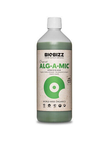 ALG-A-MIC 1L