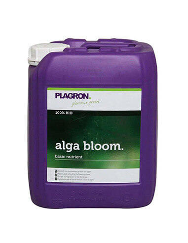 Plagron Alga Bloom