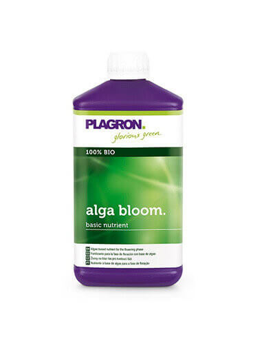 Alga Bloom Plagron