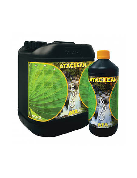 Ata Clean-01 Ata Clean-01