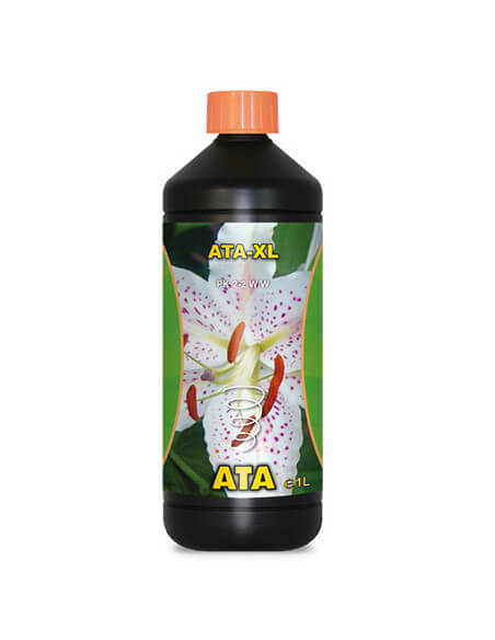 Ata-XL