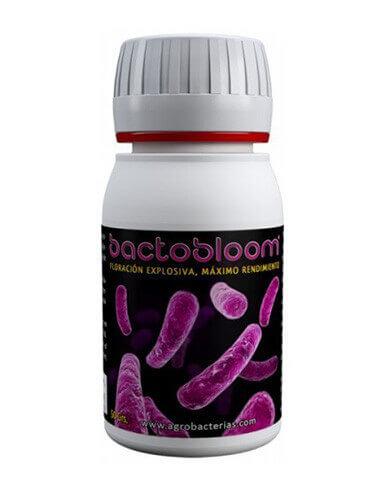 BactoBloom