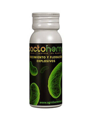 BactoHemp Potenciador de Crecimiento 10gr