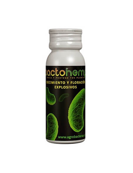 Bacto Hemp