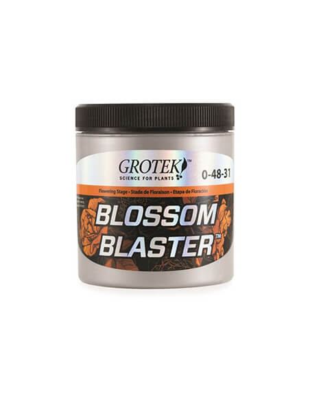 Blossom Blaster Grotek