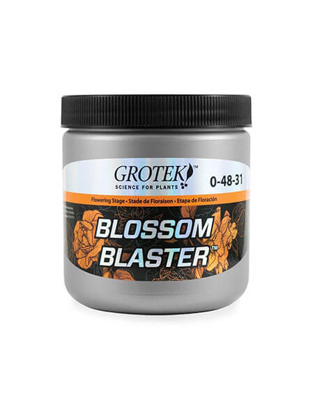 Blossom Blaster Grotek