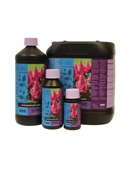 Blossom Builder Atami