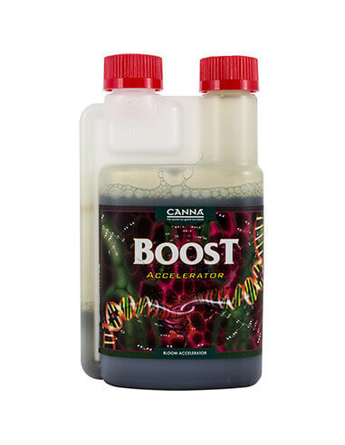 Boost Accelerator Canna-250ml