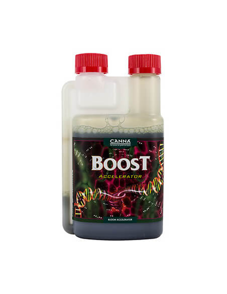 Canna Boost Accelerator
