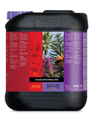 Coco Bloom Stimulator-atami-5L