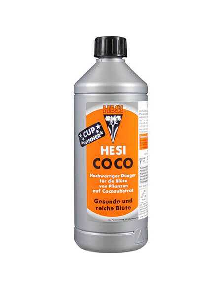 Coco Hesi