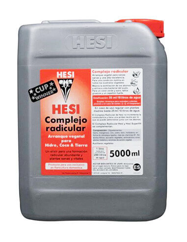 Complejo Radicular-hesi-5L