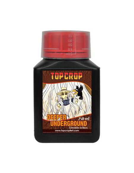 Deeper Underground Top Crop