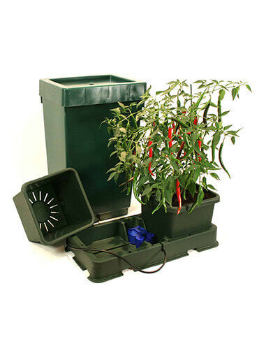 Easy2grow KIT