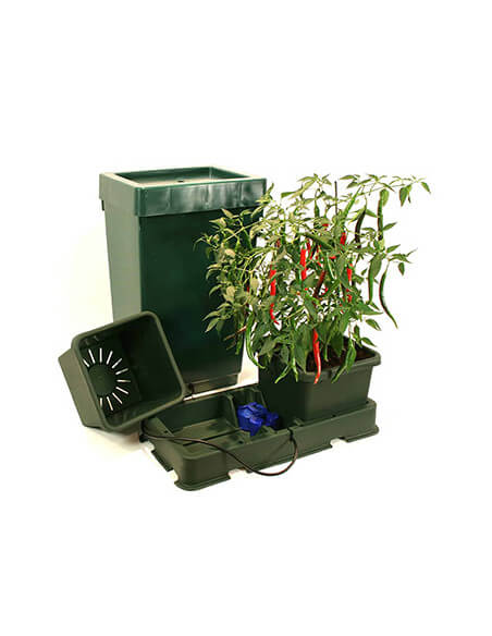 Easy2grow KIT