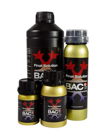 Final solution BAC-01