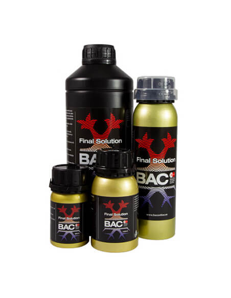 Final solution BAC-01