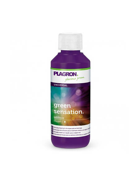 Green Sensation