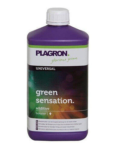 Green Sensation Plagron 1L