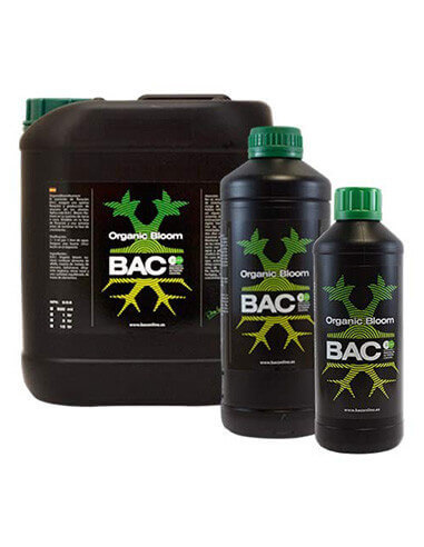 Organic Bloom Bac 01