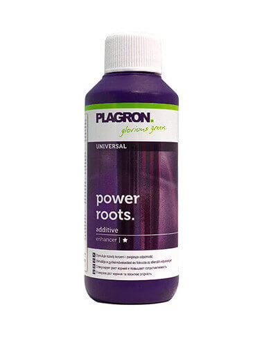 Power Roots Plagron 100 ml