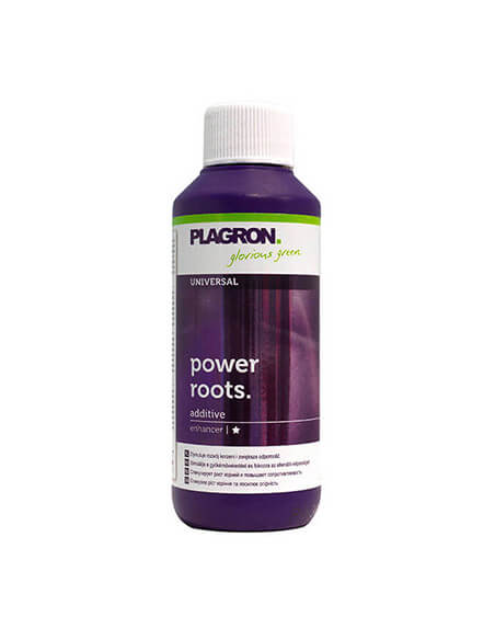 Power Roots