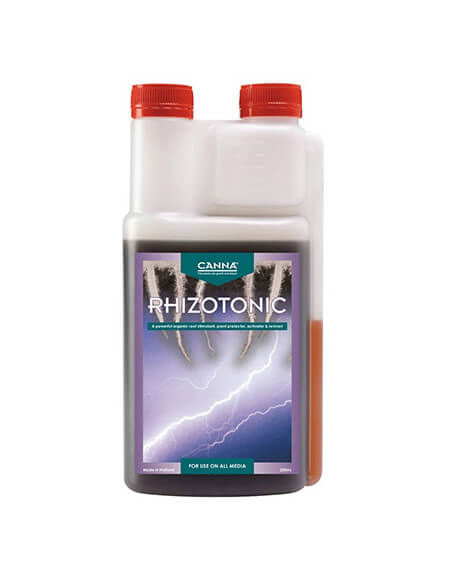 Rhizotonic Canna