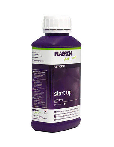 Start Up-Plagron-250 ml