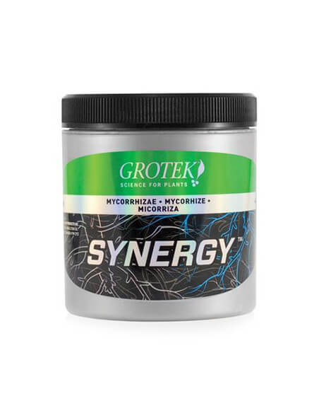 Synergy Grotek