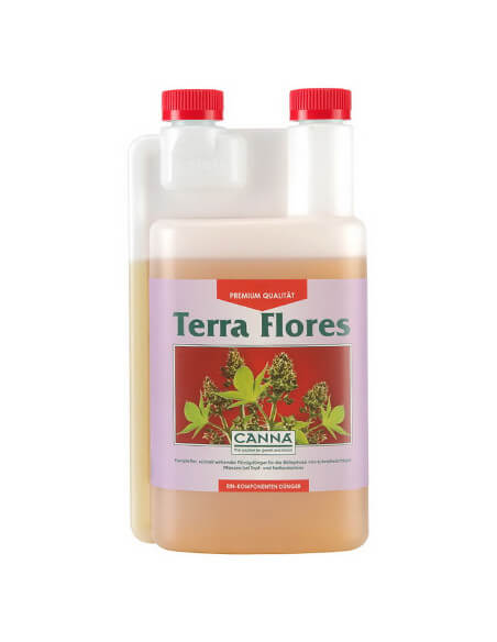 Terra Flores Canna