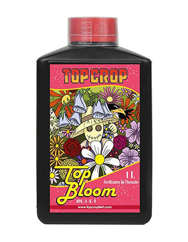 Top Crop Top Bloom