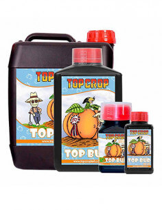 Top Bud Top Crop-01