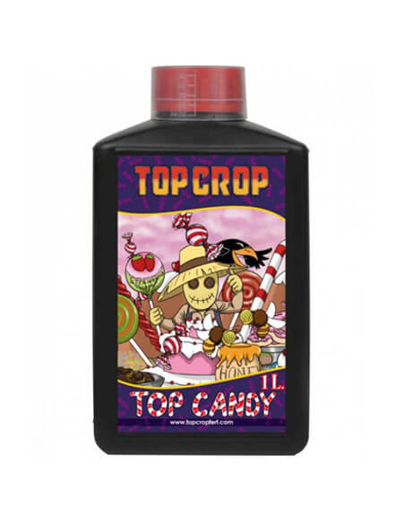 Top Candy Top Crop