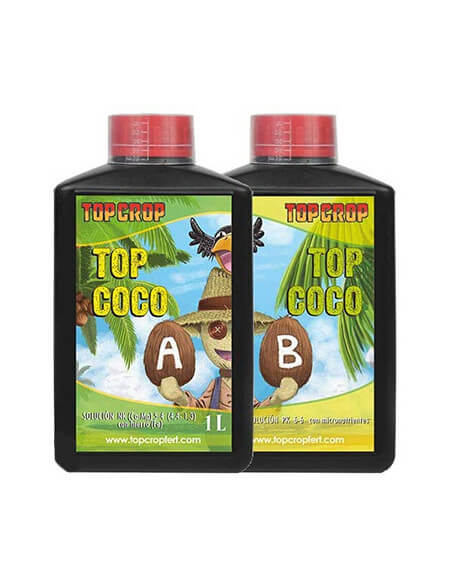 Top Coco A+B Top Crop