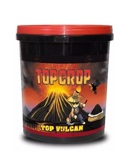 Top Vulcan Top Crop