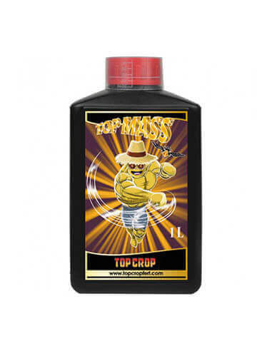 Top Mass Top Crop 1L