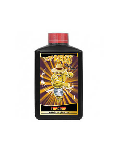 Top Mass Top Crop 1L