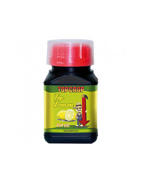 Top Lemon Top Crop Top Lemon Top Crop