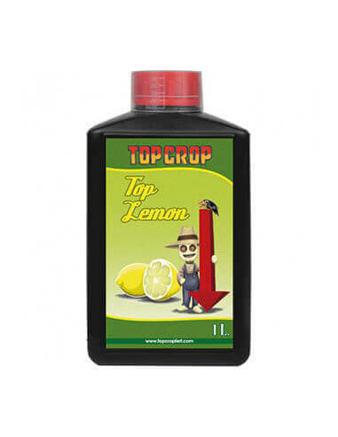 Top Crop Top Lemon Top Crop Top Lemon