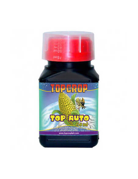 Top Auto de Top Crop Top Auto de Top Crop