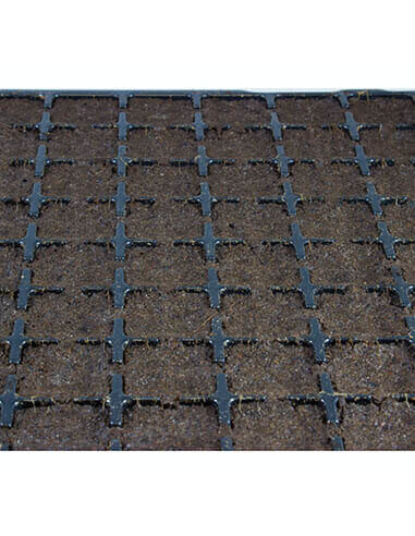 Bandeja de alvéolos para plantas Plugins Pro