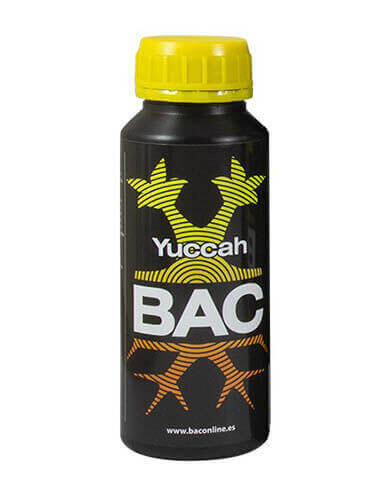 BAC Yuccah