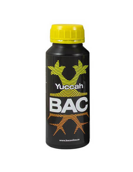 BAC Yuccah BAC Yuccah