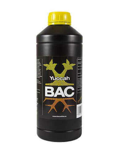 Yuccah BAC