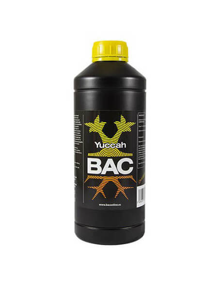 Yuccah BAC Yuccah BAC