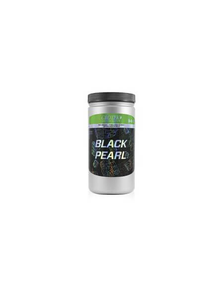 Black Pearl Grotek