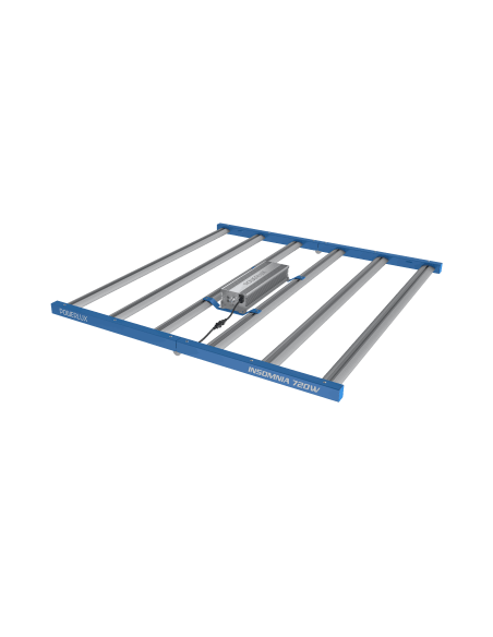 Led Insomnia 720W Powerlux